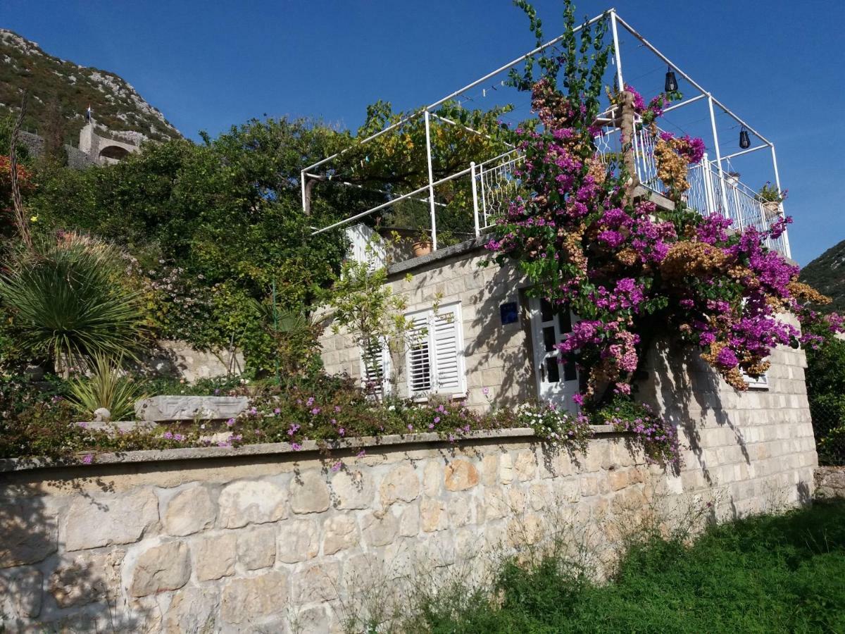 Apartman Matic Ston Buitenkant foto